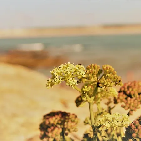 Casa Rendas By Cosycasa 페니케